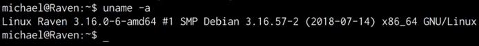Raven VM uname output Raven VM uname output